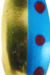 Brass Blue Red Spots Brass Back