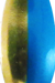 Brass Metallic Blue Brass Back
