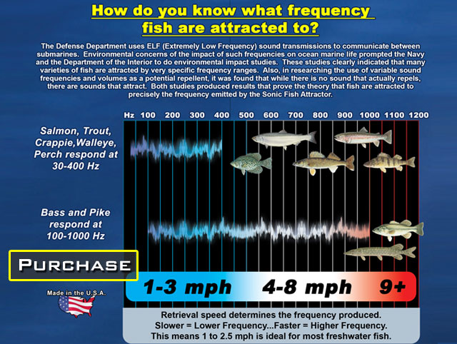 CAGI Sonic Attractor