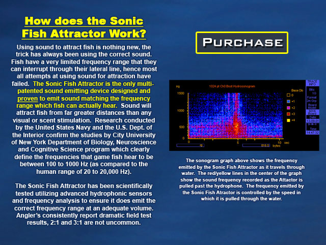 CAGI Sonic Attractor